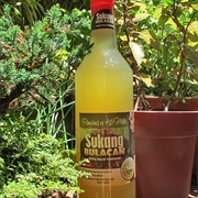 Nipa Palm Vinegar / Sukang Sasa