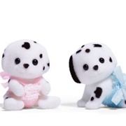 Dalmatian Babies