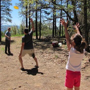 Monkey in the Middle