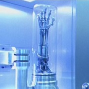 Endoskeleton Arm - Terminator 2: Judgement Day