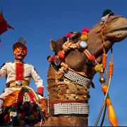 Bikaner Camel Festival, Rajasthan, India