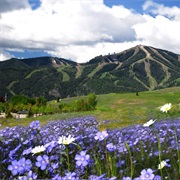 Sun Valley