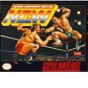 Natsume Championship Wrestling