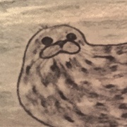 Spotted Seal Angelina Jensen