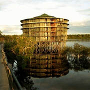 Arian Tower, Amazon