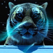 Richard Parker