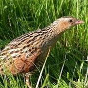 Notranjski Regional Park, Slovenia