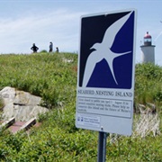 Franklin Island National Wildlife Refuge