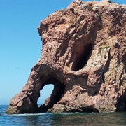 Berlengas Islands, Portugal