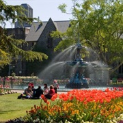 Christchurch Botanic Gardens