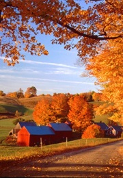 Love and Death in a Small New England Town: A Novel (A. Jing Pulitzer-Wannabe)