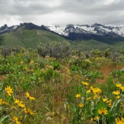 Humboldt-Toiyabe National Forest