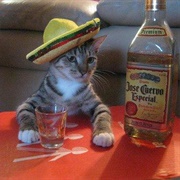 ...But Don't Drink Too Much!