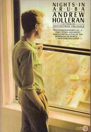 Nights in Aruba (Andrew Holleran)