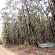 Gourock National Park (NSW)