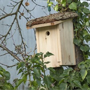 Building a Birdhouse