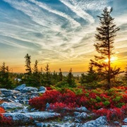 Dolly Sods
