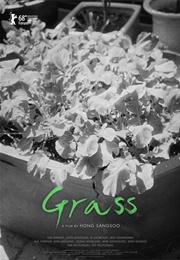 Grass (2018)