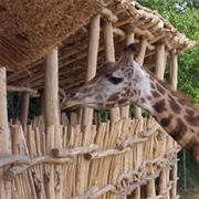 Zoo De La Boissière-Du-Doré, France