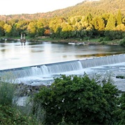 Winchester Fish Ladder