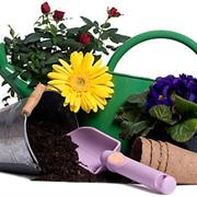 Gardening Equipment