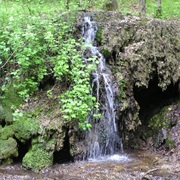 Sheyenne State Forest, North Dakota