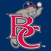 Brevard County Manatees (A)