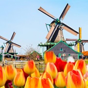 Windmills - Netherlands