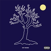Exis - Roy Woods