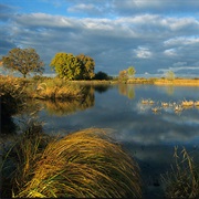 Parc Naturel De La Brenne