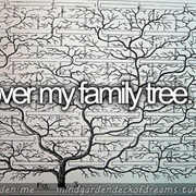 Discover My Family Tree