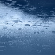 Listen to the Rain