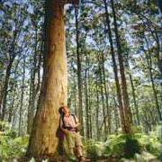Neerabup National Park (WA)