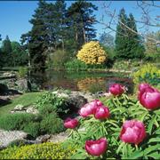 Cambridge University Botanical Gardens