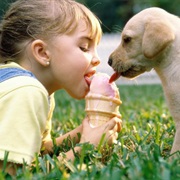 Shared Food With an Animal