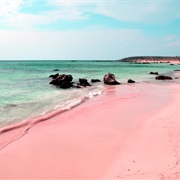 Pink Sands