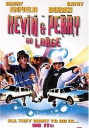 Kevin and Perry Go Large
