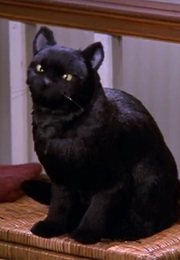 Salem (Sabrina the Teenage Witch) (1996)