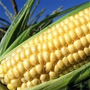 Taber Corn
