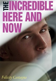 The Incredible Here and Now (Felicity Castagna)