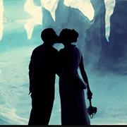 Attend an After-Hours Event at the Detroit Zoo