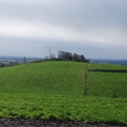 Denmark: Møllehøj (561 Ft)