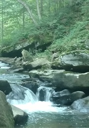 Playing House (Frederica Wagman)