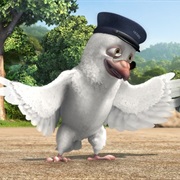 Pigeon