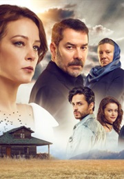 Kırlangıç Fırtınası (2017)