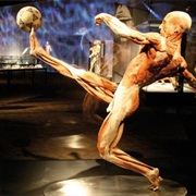 Memu Menschen Museum