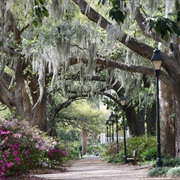 Visited Savannah, Ga