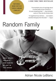 Random Family: Love, Drugs, Trouble, and Coming of Age in the Bronx (Adrian Nicole Leblanc)