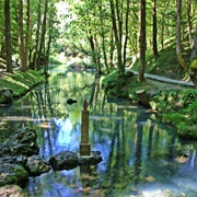 Nacimiento Del Río Ebro
