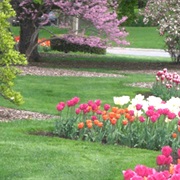 Foster Park, Fort Wayne